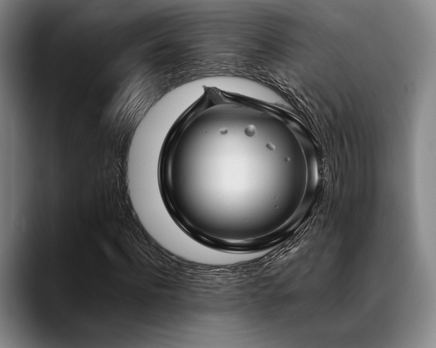 X0000089440916200706151411