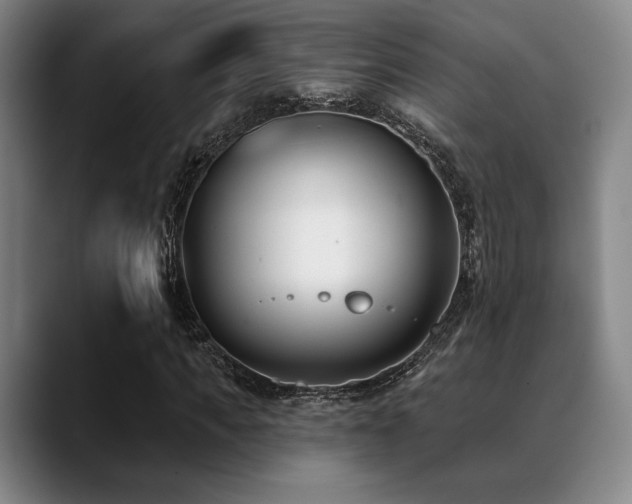 X0000089440917200706151411