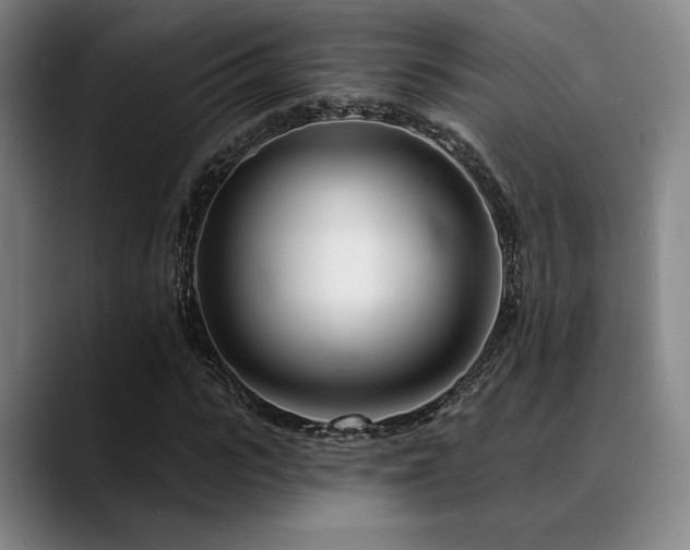 X0000089440919200706151411