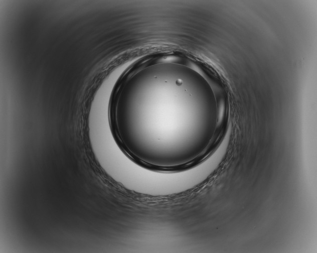 X0000089440920200706151411