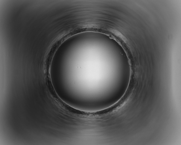 X0000089440922200706151411