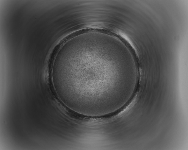 X0000089440923200706151411