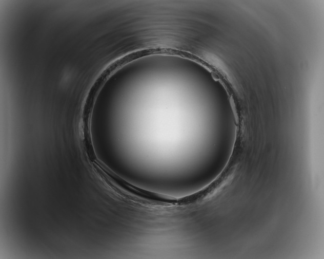 X0000089440924200706151411