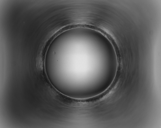 X0000089440925200706151411