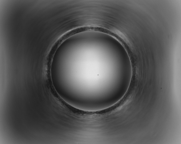 X0000089440926200706151411