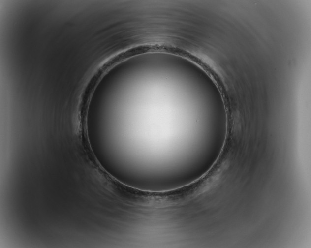 X0000089440927200706151411