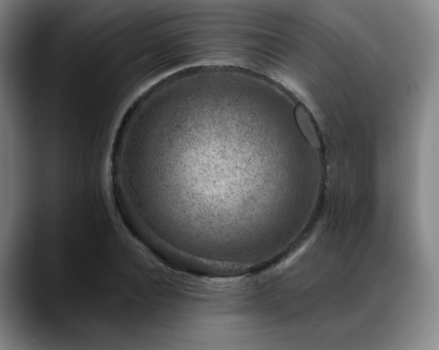 X0000089440928200706151411