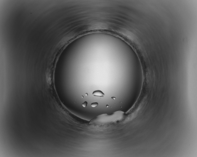 X0000089440929200706151411