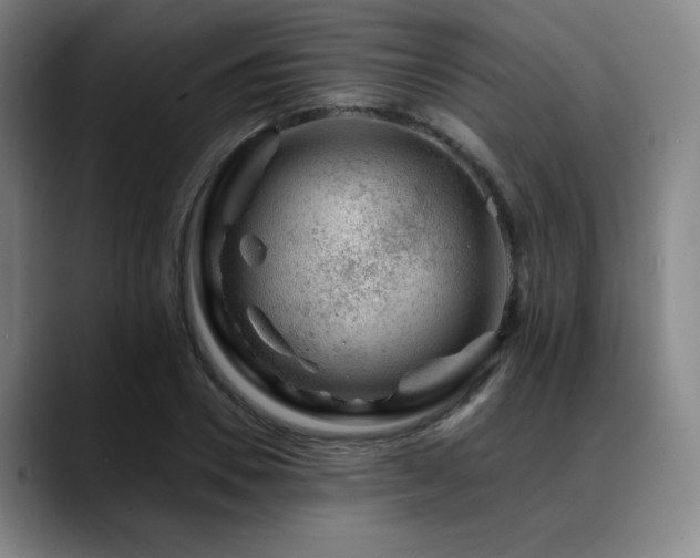 X0000089440930200706151411