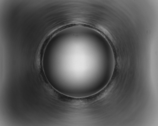 X0000089440931200706151411