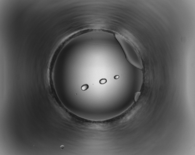 X0000089440932200706151411