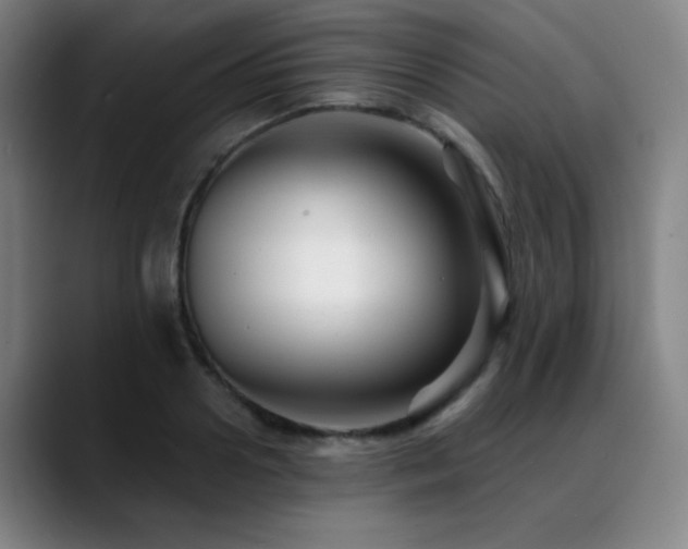 X0000089440938200706151411