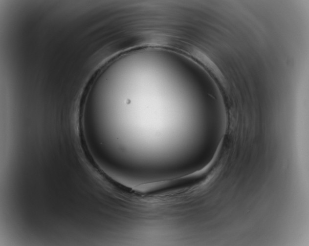 X0000089440939200706151411