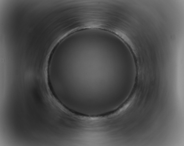 X0000089440941200706151411