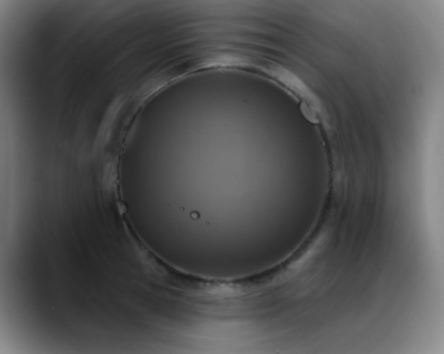 X0000089440945200706151411