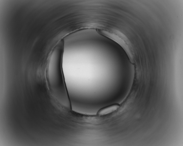 X0000089440946200706151411
