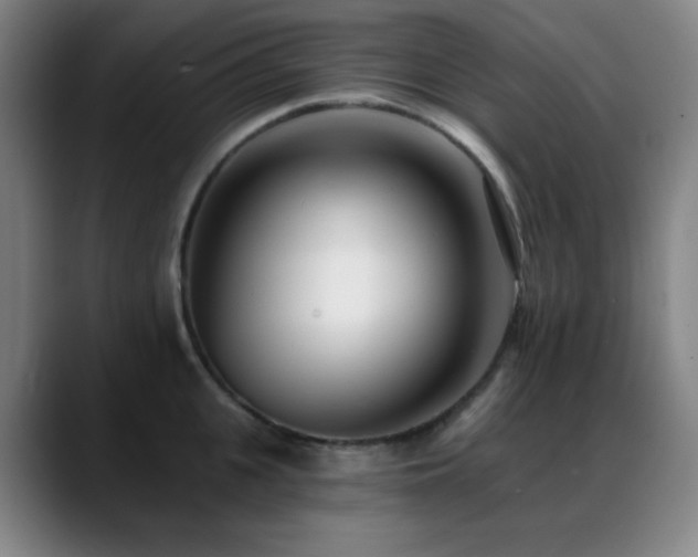 X0000089440951200706151411