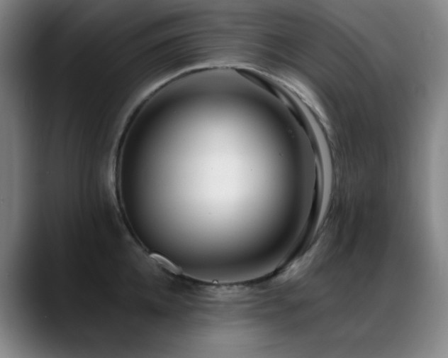 X0000089440952200706151411