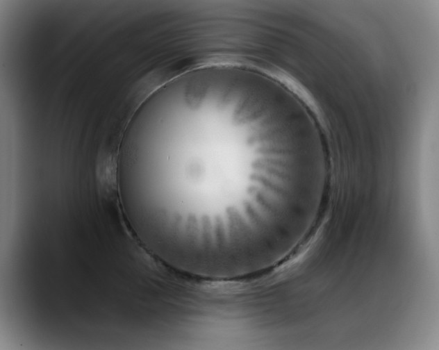 X0000089440953200706151411