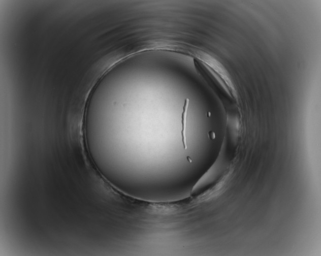 X0000089440954200706151411