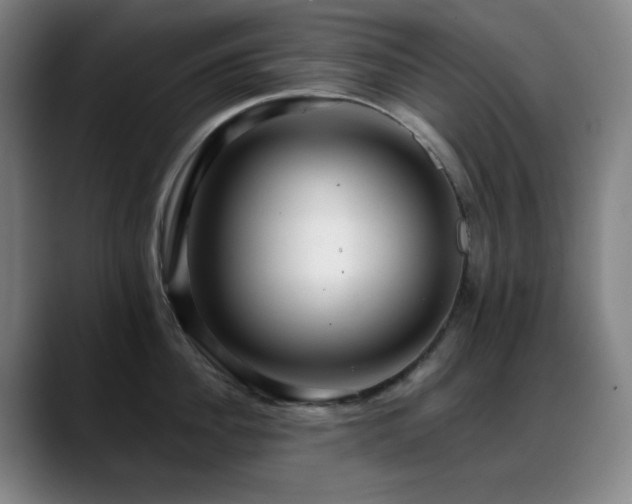 X0000089440956200706151411