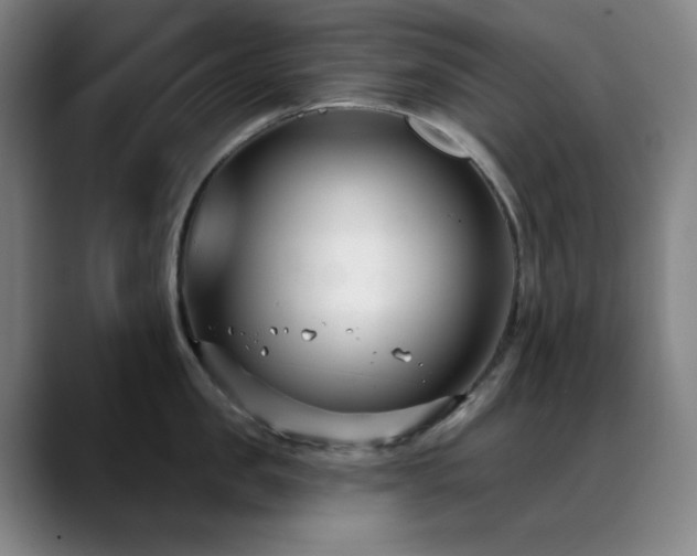 X0000089440957200706151411
