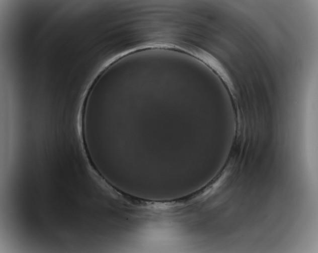 X0000089440958200706151411