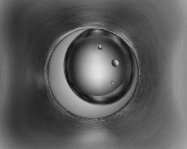 X0000089440960200706151411