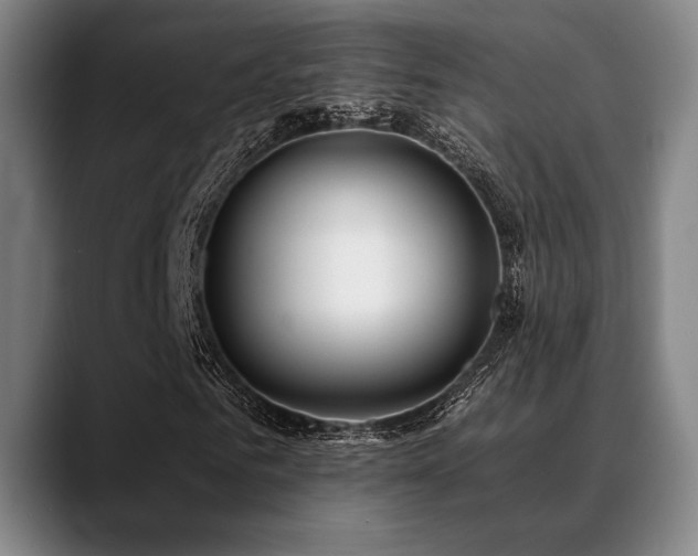 X0000089440961200706151411