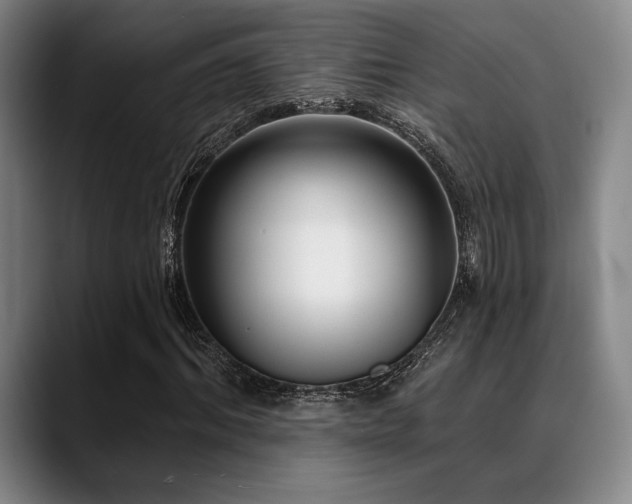 X0000089440964200706151410