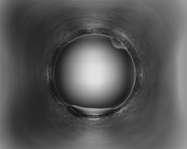 X0000089440965200706151410