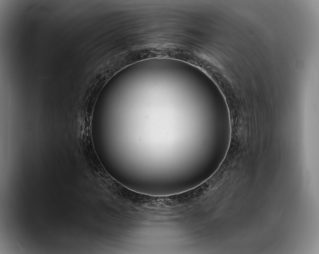 X0000089440966200706151410