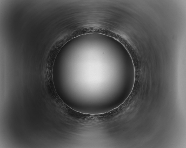 X0000089440967200706151410