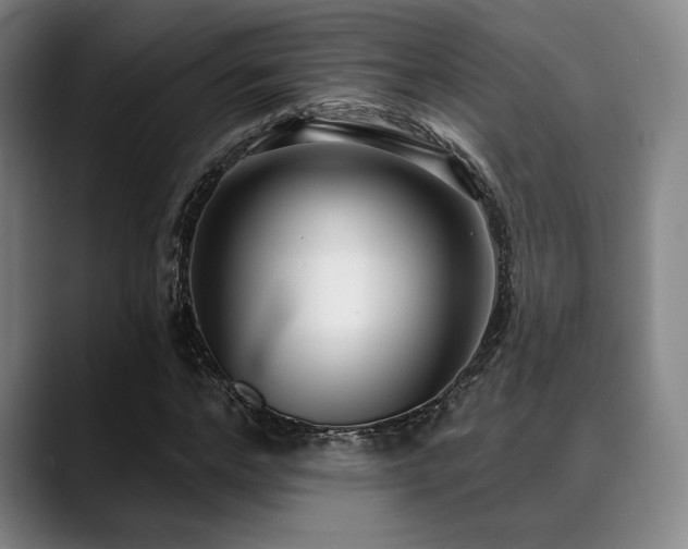 X0000089440968200706151410