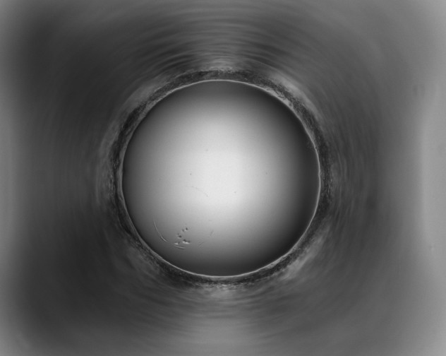 X0000089440970200706151410