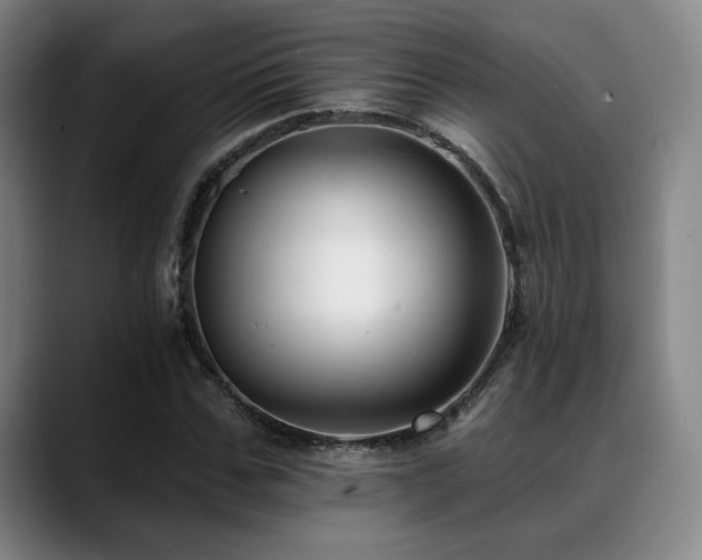 X0000089440971200706151410