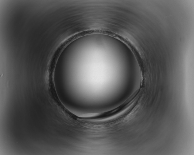 X0000089440975200706151410
