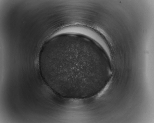 X0000089440977200706151410