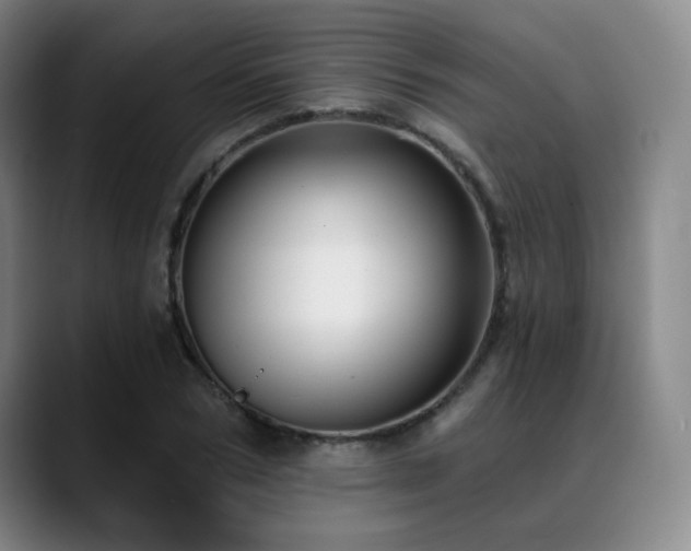 X0000089440978200706151410