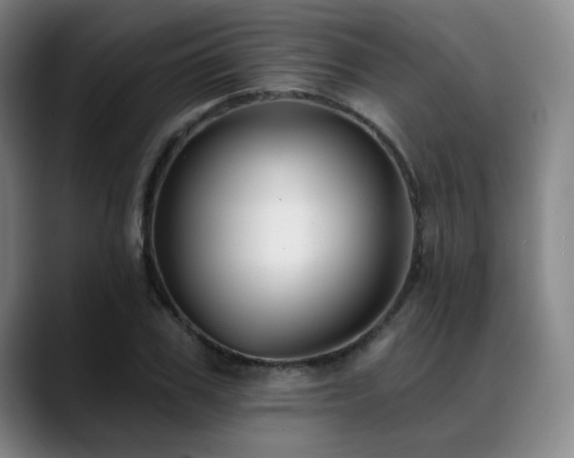 X0000089440979200706151410