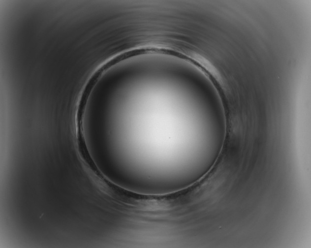 X0000089440980200706151410