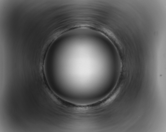 X0000089440985200706151410