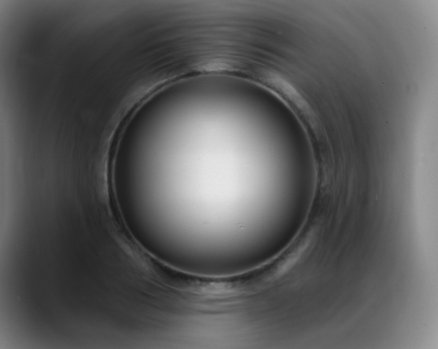 X0000089440986200706151410