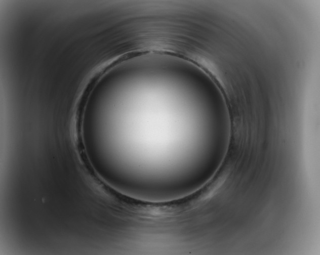 X0000089440987200706151410
