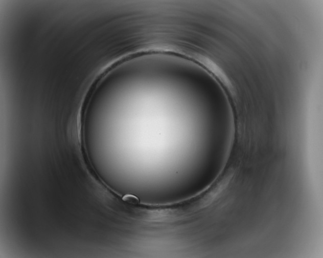 X0000089440988200706151410