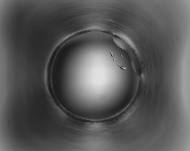 X0000089440991200706151410