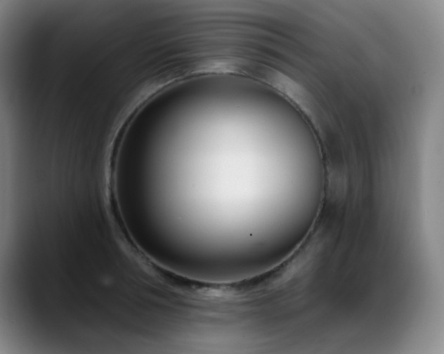 X0000089440994200706151410