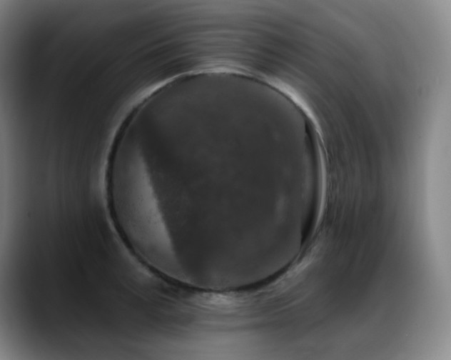 X0000089440995200706151410