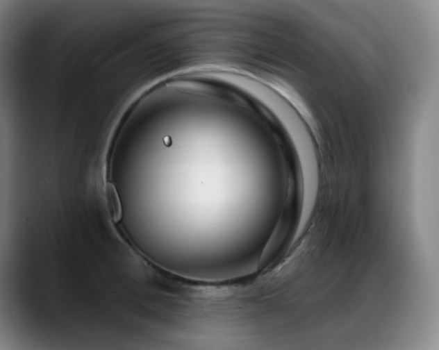 X0000089440996200706151410