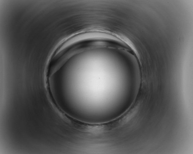 X0000089440997200706151410